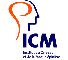 icm